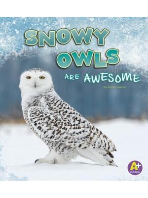 Snowy Owls Are Awesome - Boganto