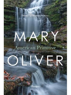 American Primitive - Boganto