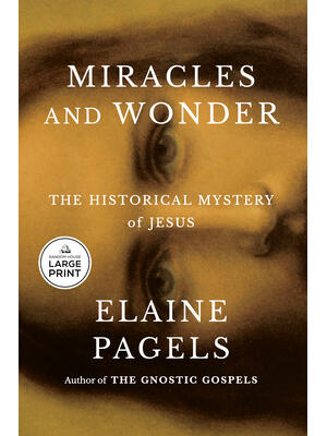 Miracles and Wonder : The Historical Mystery of Jesus - Boganto