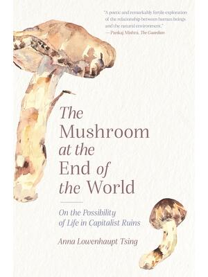 The Mushroom at the End of the World - Boganto