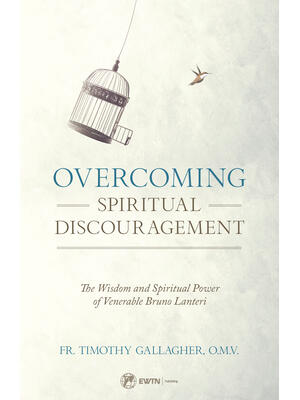 Overcoming Spiritual Discouragement: The Wisdom and Spiritual Power of Venerable Bruno Lanteri - Boganto