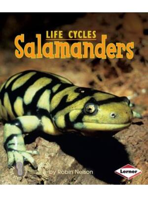 Salamanders - Boganto