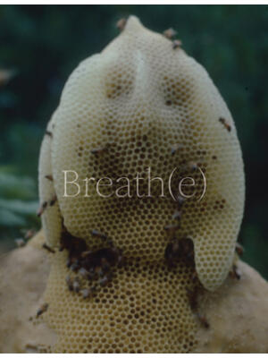 Breath(e): Toward Climate and Social Justice - Boganto