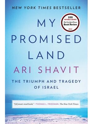 My Promised Land: The Triumph and Tragedy of Israel - Boganto