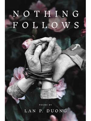 Nothing Follows - Boganto