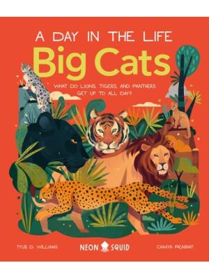 Big Cats (a Day in the Life): What Do Lions, Tigers, and Panthers Get Up to All Day? - Boganto