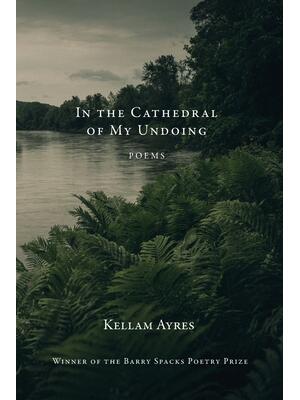 In the Cathedral of My Undoing - Boganto