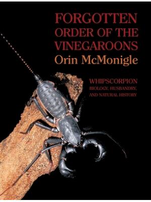 Forgotten Order of the Vinegaroons: Whipscorpion Biology, Husbandry, and Natural History - Boganto