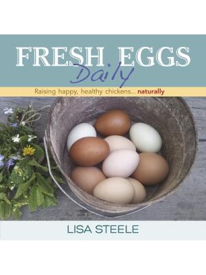 Fresh Eggs Daily - Boganto