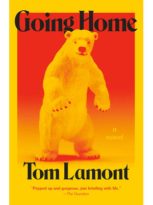 Going Home - Boganto