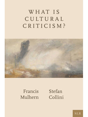 What Is Cultural Criticism? - Boganto