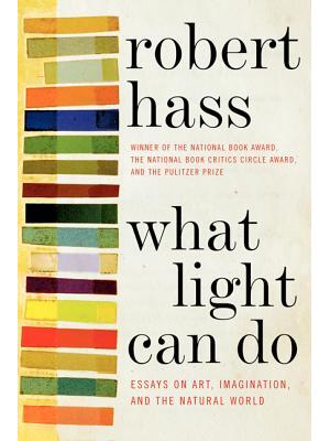 What Light Can Do PB - Boganto