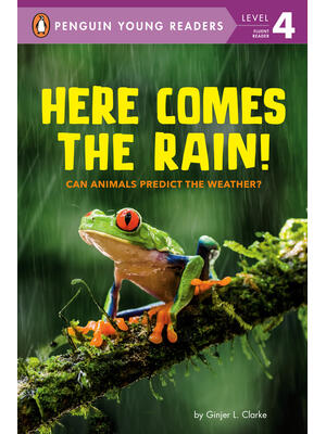 Here Comes the Rain!