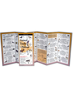 Animal Tracks of the Midwest - Boganto