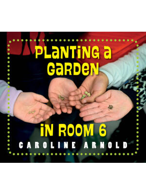 Planting a Garden in Room 6 : From Seeds to Salad - Boganto
