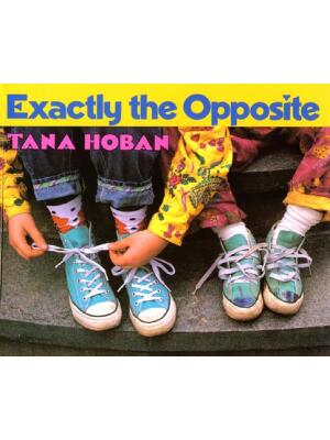 Exactly the Opposite - Boganto