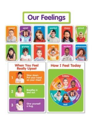 Our Feelings Bulletin Board - Boganto