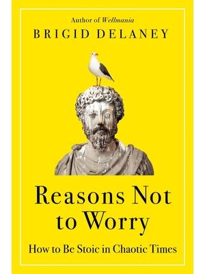 Reasons Not to Worry : How to Be Stoic in Chaotic Times - Boganto