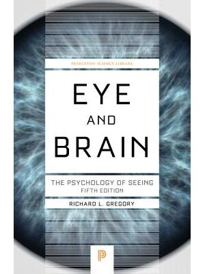 Eye and Brain - Boganto