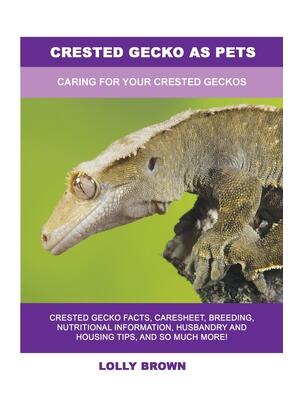 Crested Gecko as Pets : Caring For Your Crested Geckos - Boganto