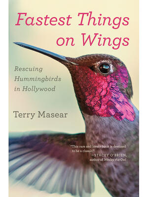 Fastest Things on Wings : Rescuing Hummingbirds in Hollywood - Boganto