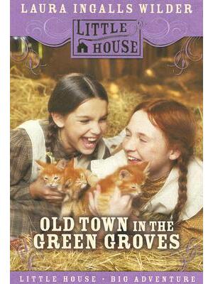Old Town in the Green Groves: Laura Ingalls Wilder's Lost Little House Years - Boganto