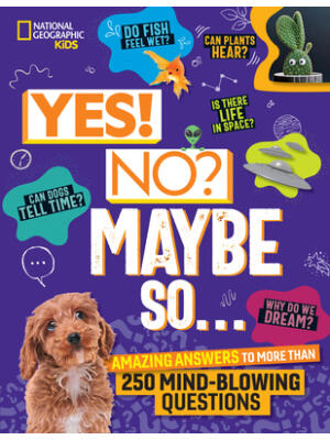 Yes! No? Maybe So...: Amazing Answers to More Than 250 Mind-Blowing Questions - Boganto