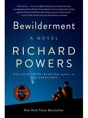 Bewilderment - Boganto