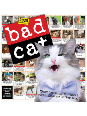 Bad Cat Wall Calendar 2025 : Celebrating the Misfits of the Feline World - Boganto