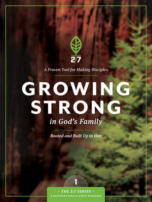 Growing Strong in God's Family: Rooted and Built Up in Him - Boganto