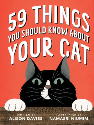 59 Things You Should Know about Your Cat - Boganto