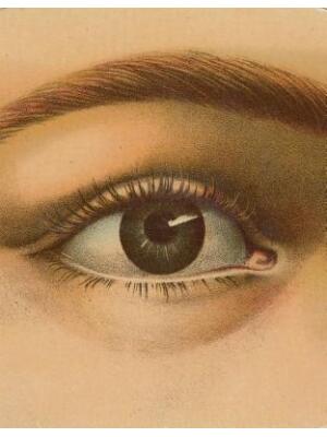 John Derian Picture Book - Boganto