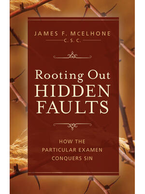 Rooting Out Hidden Faults: What Is the Particular Examen, and How Does It Conquer Sin? - Boganto