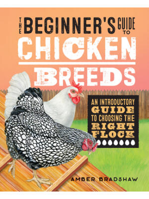 The Beginner's Guide to Chicken Breeds : An Introductory Guide to Choosing the Right Flock - Boganto