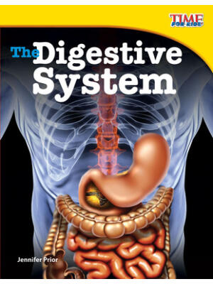 The Digestive System - Boganto