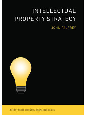 Intellectual Property Strategy - Boganto