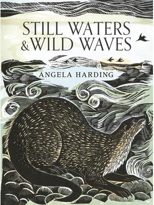 Still Waters & Wild Waves - Boganto