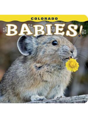 Colorado Babies! - Boganto