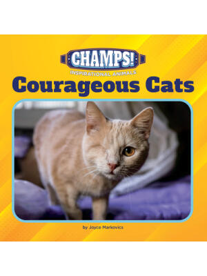 Courageous Cats - Boganto