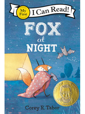 Fox at Night - Boganto