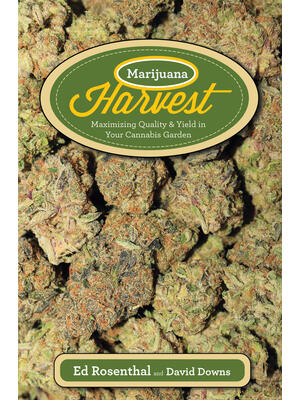 Marijuana Harvest: How to Maximize Quality and Yield in Your Cannabis Garden - Boganto