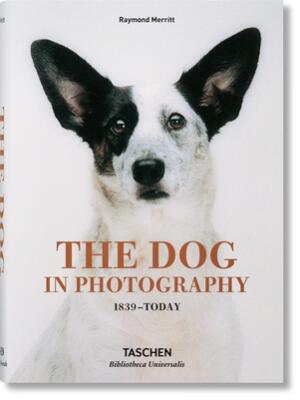 The Dog in Photography 1839-Today - Boganto