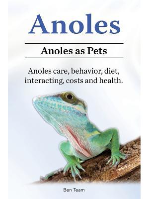 Anoles. Anoles as Pets. Anoles care, behavior, diet, interacting, costs and health. - Boganto