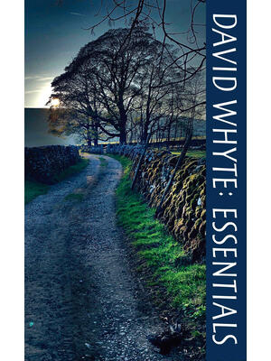 David Whyte Essentials - Boganto