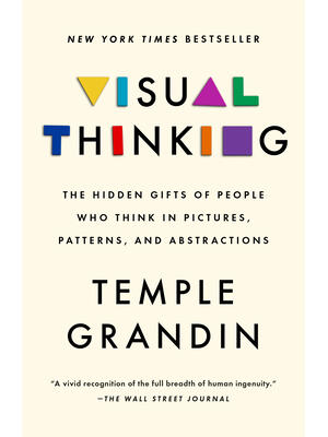 Visual Thinking: The Hidden Gifts of People Who Think in Pictures, Patterns, and Abstractions - Boganto