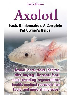 Axolotl. Axolotl Care, Tanks, Habitat, Diet, Buying, Life Span, Food, Cost, Breeding, Regeneration, Health, Medical Research, Fun Facts, and More All - Boganto