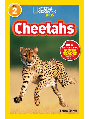 Cheetahs - Boganto