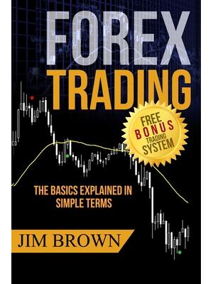 Forex Trading : The Basics Explained in Simple Terms