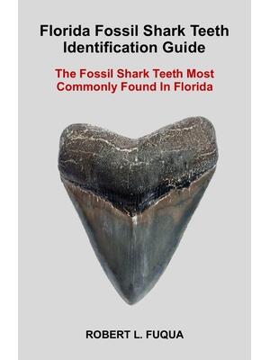 Florida Fossil Shark Teeth Identification Guide: The Fossil Shark Teeth Most Commonly Found In Florida - Boganto