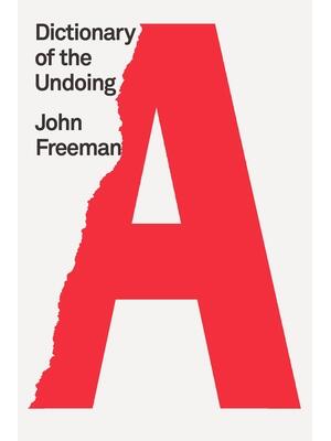 Dictionary of the Undoing - Boganto